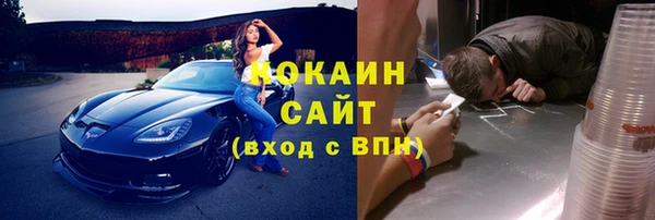шишки Приозерск