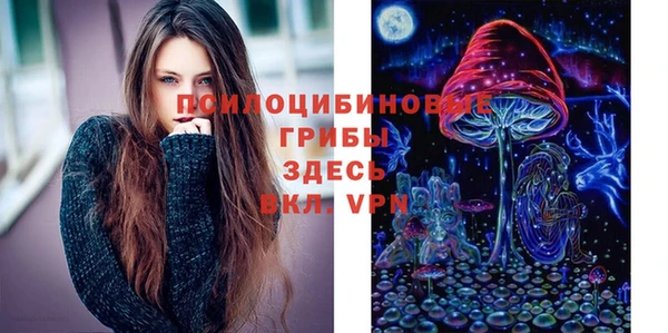 шишки Приозерск