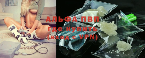 шишки Приозерск