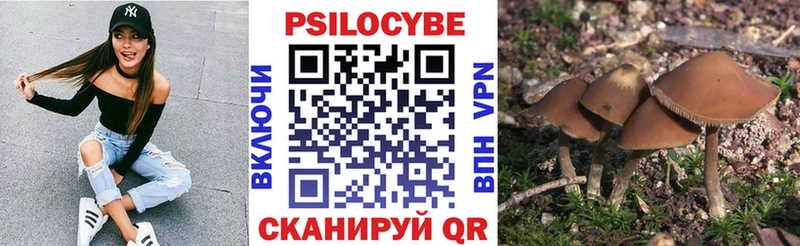 Галлюциногенные грибы Psilocybe  как найти наркотики  Верхняя Салда 