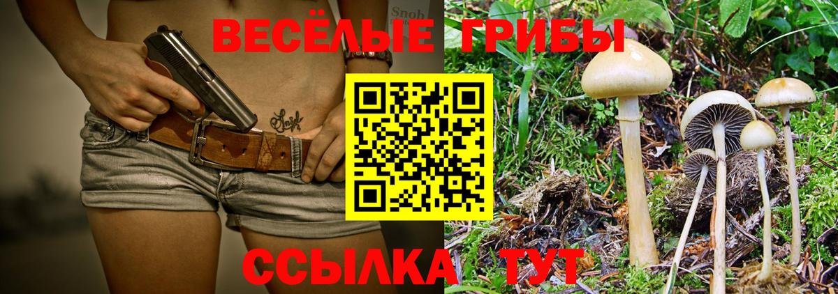 Псилоцибиновые грибы MAGIC MUSHROOMS  где можно купить   Верхняя Салда 