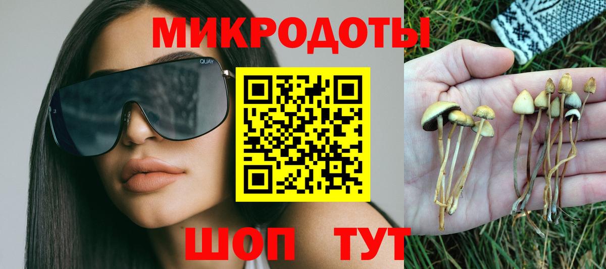Псилоцибиновые грибы мухоморы Верхняя Салда